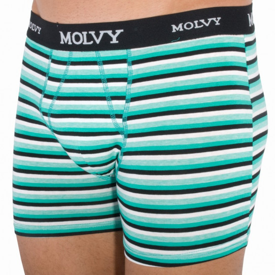 2PACK Molvy miesten bokserit moniväriset shortsit moniväriset (KP-044-BEU)