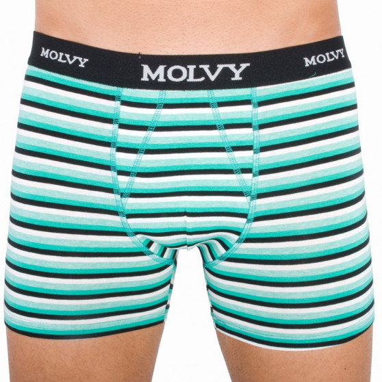 2PACK Molvy miesten bokserit moniväriset shortsit moniväriset (KP-044-BEU)