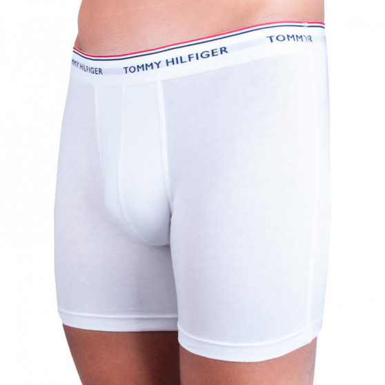 3PACK Tommy Hilfiger miesten bokserit moniväriset shortsit moniväriset (UM0UM00010 004)