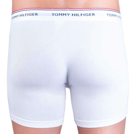 3PACK Tommy Hilfiger miesten bokserit moniväriset shortsit moniväriset (UM0UM00010 004)