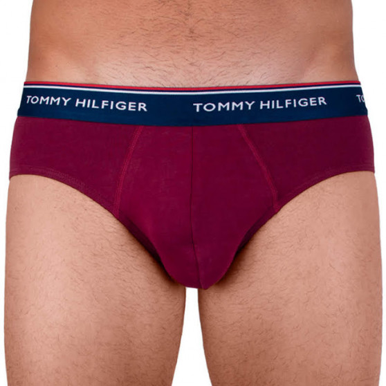 3PACK Tommy Hilfiger miesten alushousut moniväriset (1U87903766 096)