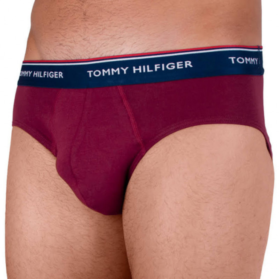 3PACK Tommy Hilfiger miesten alushousut moniväriset (1U87903766 096)