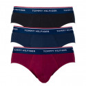 3PACK Tommy Hilfiger miesten alushousut moniväriset (1U87903766 096)