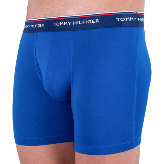 3PACK Tommy Hilfiger miesten bokserit moniväriset shortsit moniväriset (UM0UM00010 052)