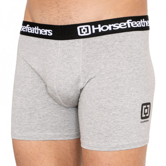 3PACK Horsefeathers miesten bokserit moniväriset shortsit moniväriset (AM067D)