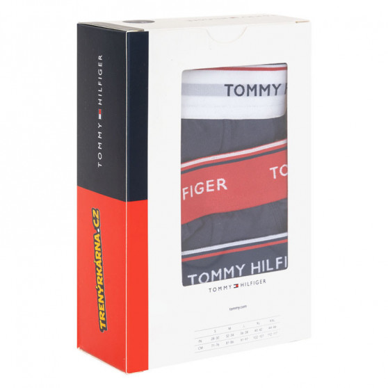 3PACK Tommy Hilfiger miesten alushousut tummansiniset (1U87903766 904)