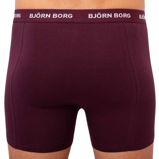 5PACK Bjorn Borg miesten bokserit moniväriset shortsit moniväriset (2031-1041-81421)