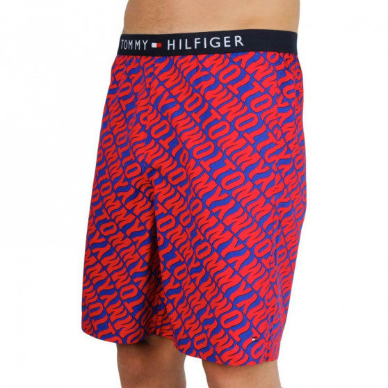 Tommy Hilfiger Miesten shortsit moniväriset (UM0UM01765 0NX)