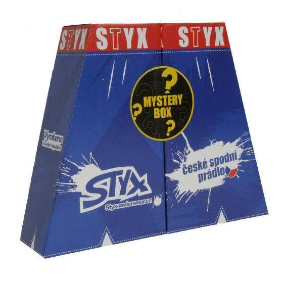 5PACK  MYSTERY BOX - naisten bokserishortsit klassiset joustavat moniväriset monivärinen Styx