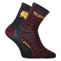 2PACK E plus M Lasten sukat Harry Potter moniväriset (GRYFFINDOR-A)