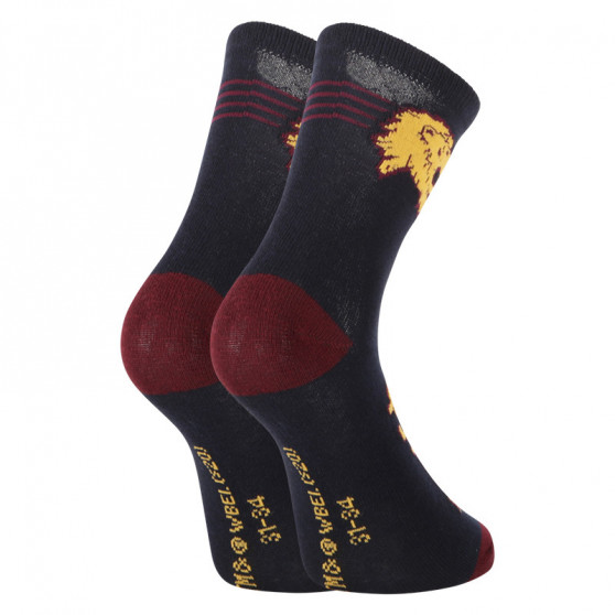 2PACK E plus M Lasten sukat Harry Potter moniväriset (GRYFFINDOR-A)