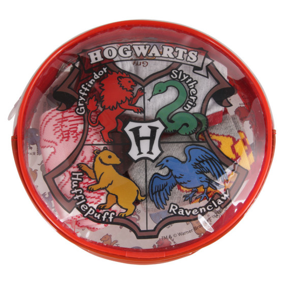 4PACK Cerdá tyttöjen alusvaatesetti Harry Potter monivärinen (2200007424)