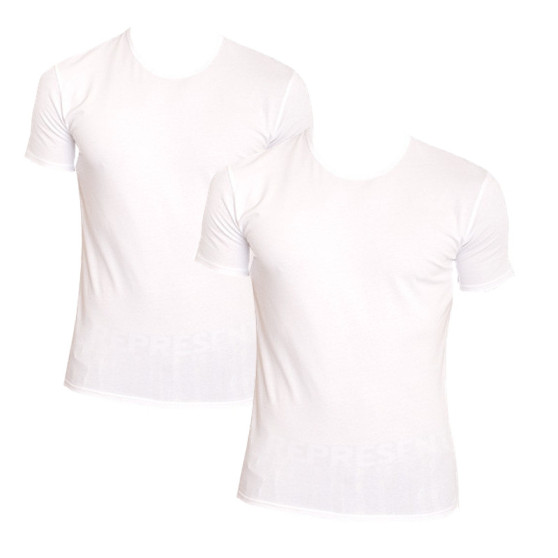 2PACK Calvin Klein miesten t-paita valkoinen (NB1088A-100)