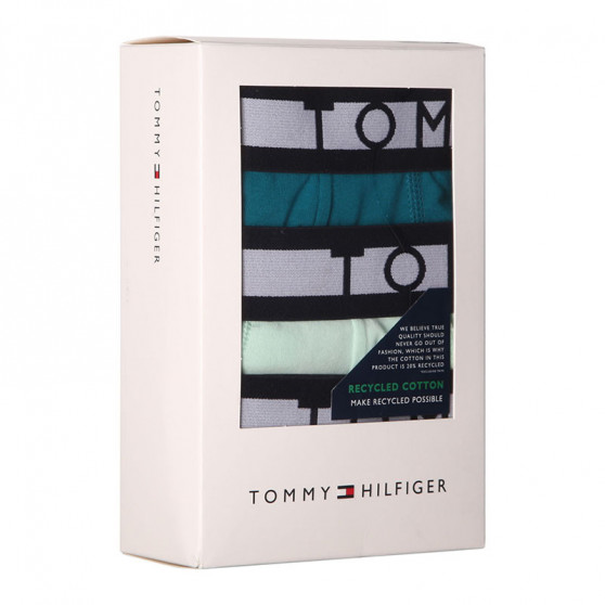 3PACK Tommy Hilfiger miesten bokserit moniväriset shortsit moniväriset (UM0UM01565 0R2)