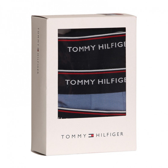 3PACK Tommy Hilfiger miesten bokserit moniväriset shortsit moniväriset (1U87903842 0TU)