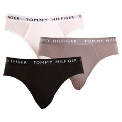 3PACK Tommy Hilfiger miesten alushousut moniväriset (UM0UM02206 0TG)