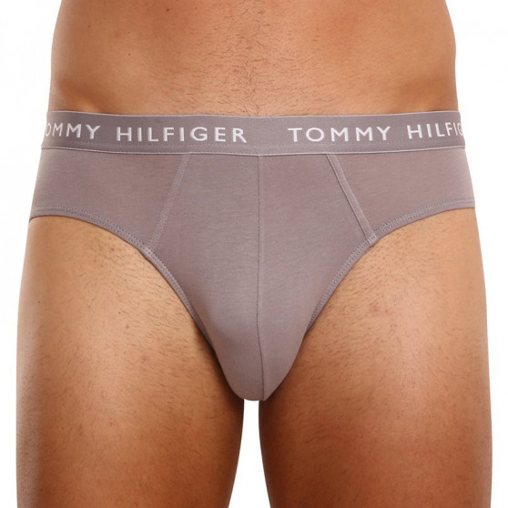 3PACK Tommy Hilfiger miesten alushousut moniväriset (UM0UM02206 0TG)