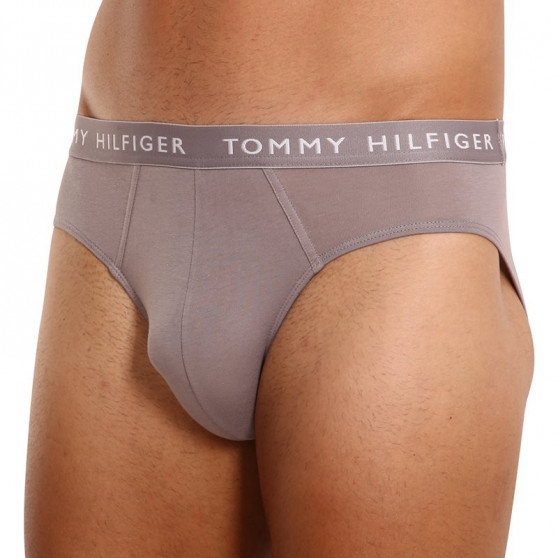 3PACK Tommy Hilfiger miesten alushousut moniväriset (UM0UM02206 0TG)