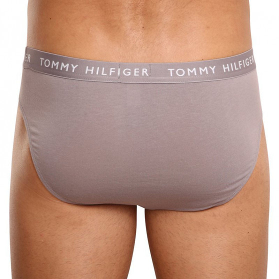 3PACK Tommy Hilfiger miesten alushousut moniväriset (UM0UM02206 0TG)