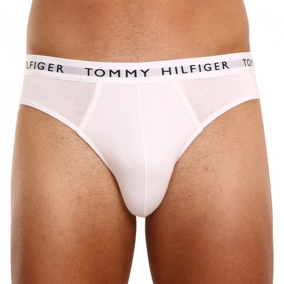 3PACK Tommy Hilfiger miesten alushousut moniväriset (UM0UM02206 0TG)