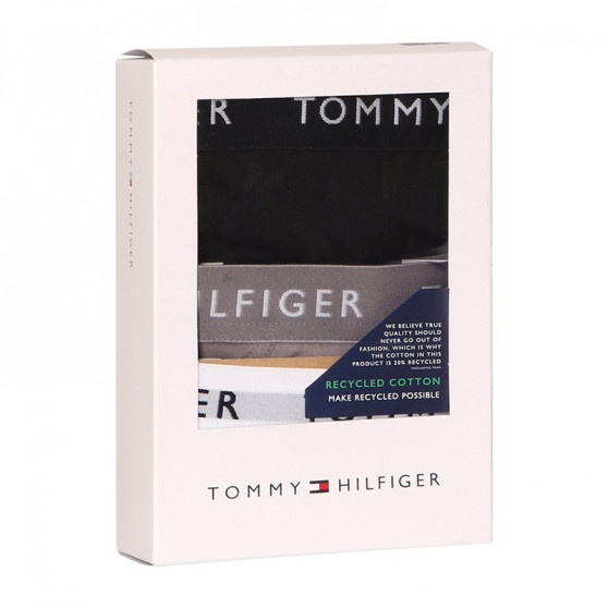 3PACK Tommy Hilfiger miesten alushousut moniväriset (UM0UM02206 0TG)