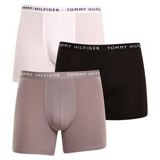 3PACK Tommy Hilfiger miesten bokserit moniväriset shortsit moniväriset (UM0UM02204 0TG)