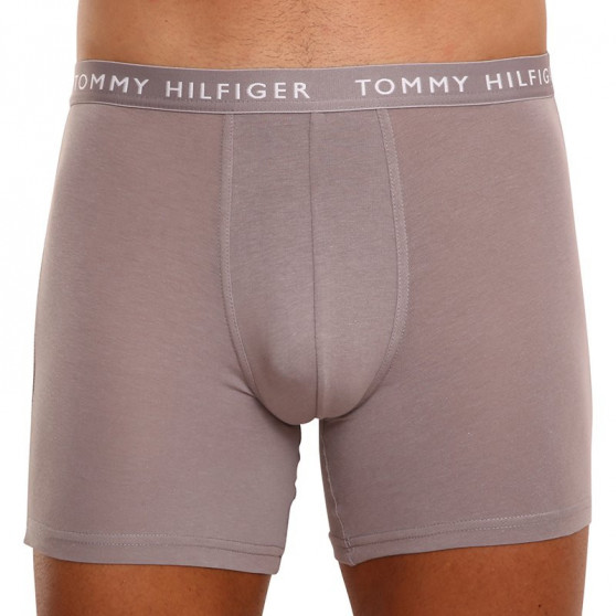 3PACK Tommy Hilfiger miesten bokserit moniväriset shortsit moniväriset (UM0UM02204 0TG)