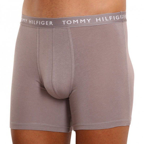 3PACK Tommy Hilfiger miesten bokserit moniväriset shortsit moniväriset (UM0UM02204 0TG)