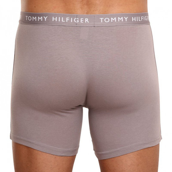 3PACK Tommy Hilfiger miesten bokserit moniväriset shortsit moniväriset (UM0UM02204 0TG)