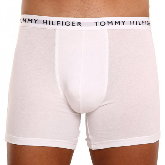 3PACK Tommy Hilfiger miesten bokserit moniväriset shortsit moniväriset (UM0UM02204 0TG)