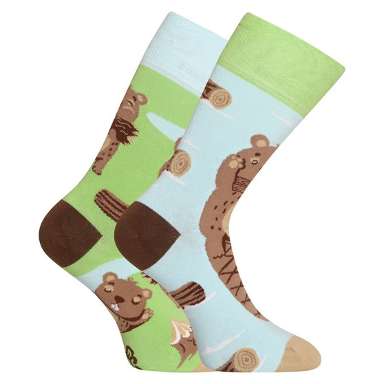 Dedoles Happy Socks Beaver (D-U-SC-RS-C-C-1458)