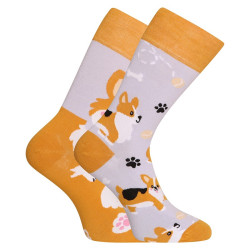 Dedoles Happy Socks koira Corgi (GMRS241)