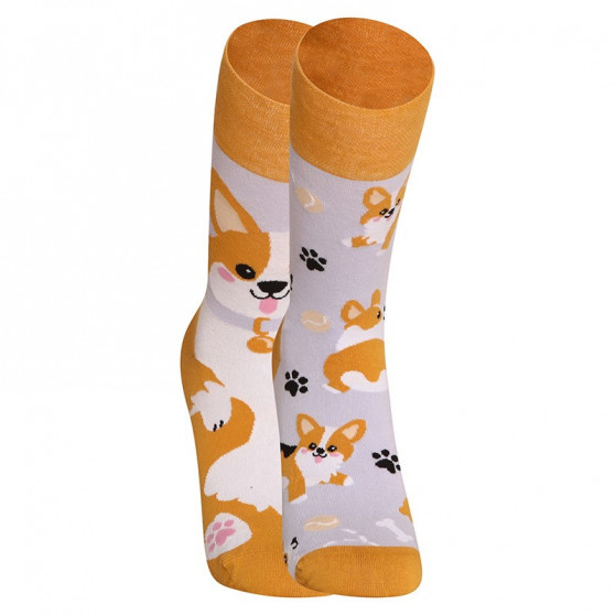 Dedoles Happy Socks koira Corgi (GMRS241)