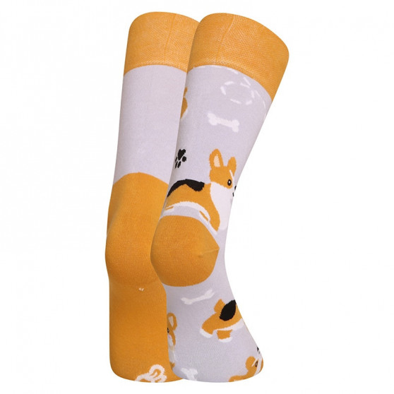 Dedoles Happy Socks koira Corgi (GMRS241)