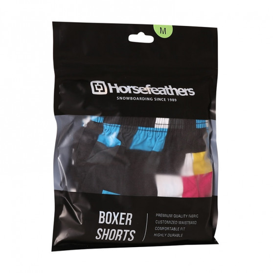 Horsefeathers Miesten bokserishortsit Manny Cmyk ruutu (AM167D)