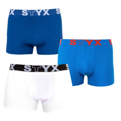 3PACK Styx miesten bokserit shortsit urheilu elastinen ylimitoitettu monivärinen monivärinen (R9676861)