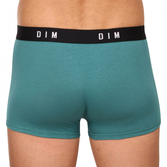 2PACK DIM miesten bokserit moniväriset shortsit moniväriset (DI000ARL-9UW)