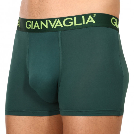 5PACK Gianvaglia miesten bokserit moniväriset shortsit moniväriset (GVG-5006)