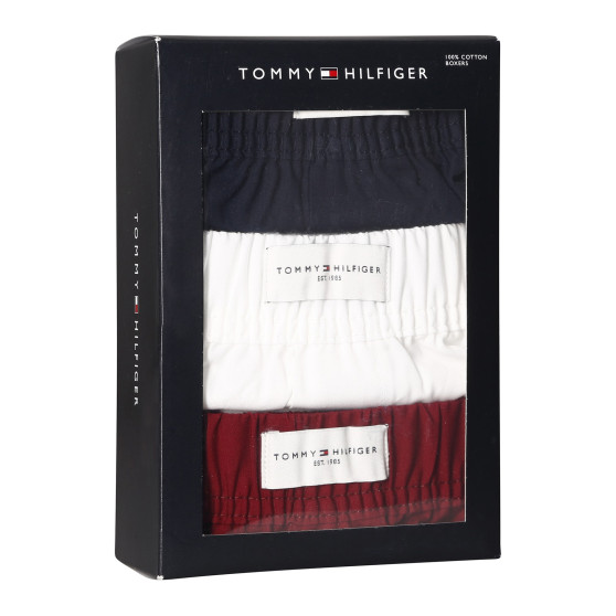 3PACK Tommy Hilfiger miesten bokserishortsit moniväriset (UM0UM02848 0WE)