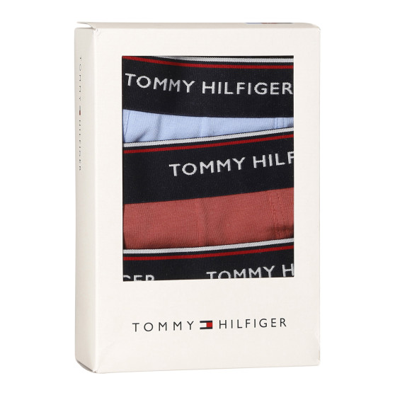 3PACK Tommy Hilfiger miesten bokserit moniväriset shortsit moniväriset (1U87903842 0Y4)