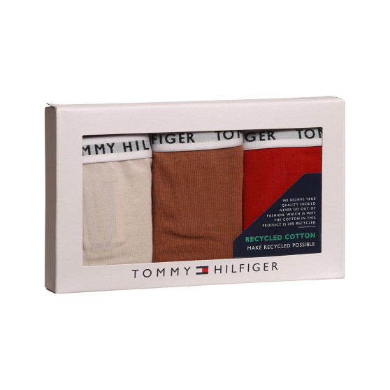 3PACK Tommy Hilfiger naisten pikkuhousut ylimitoitettu monivärinen (UW0UW04023 0R2)