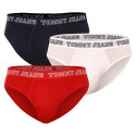 3PACK Tommy Hilfiger miesten alushousut moniväriset (UM0UM02849 0T6)