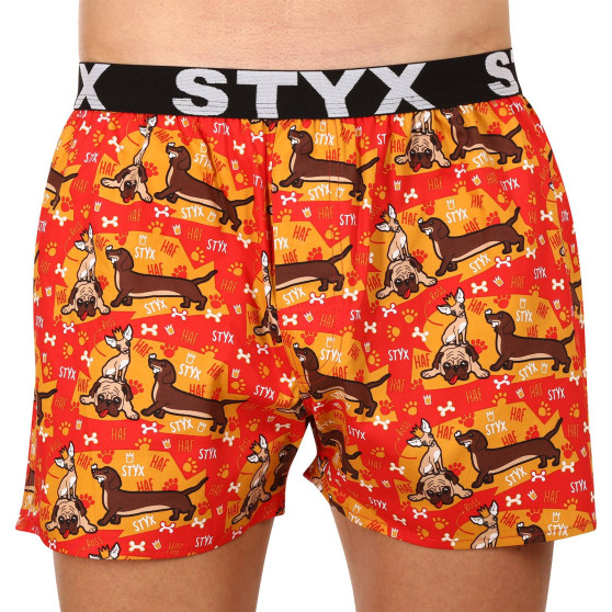 10PACK Styx miesten bokserishortsit art sports kumia monivärinen (10B131527941508)