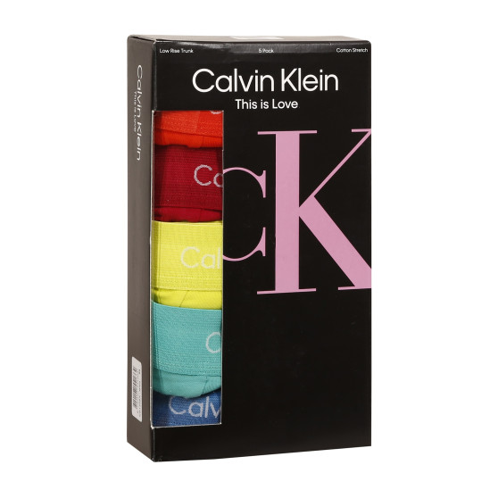 5PACK Calvin Klein miesten bokserit moniväriset shortsit moniväriset (NB1348A-BNG)