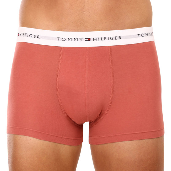 3PACK Tommy Hilfiger miesten bokserit moniväriset shortsit moniväriset (UM0UM02761 0TF)