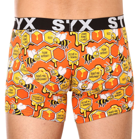 3PACK Styx miesten bokserit shortsit pitkä taide urheilu elastinen monivärinen (3U12914)