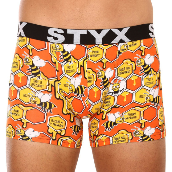 3PACK Styx miesten bokserit shortsit pitkä taide urheilu elastinen monivärinen (3U12914)