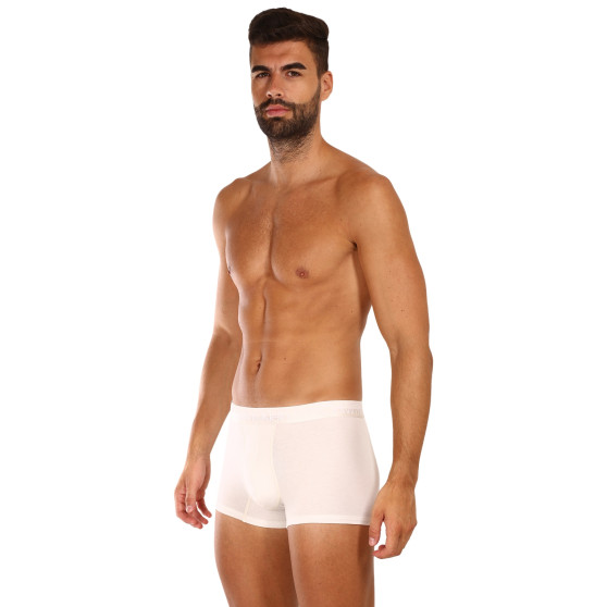 3PACK Calvin Klein miesten bokserit moniväriset shortsit moniväriset (NB2970A-GYO)