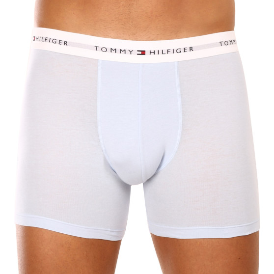 3PACK Tommy Hilfiger miesten bokserit moniväriset shortsit moniväriset (UM0UM02941 0W8)