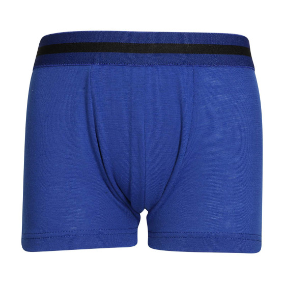 5PACK Gianvaglia lasten boxershortsit moniväriset (023)